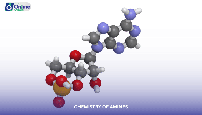 Lesson 11: Chemistry of Amines